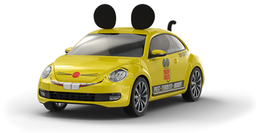 Bug Car