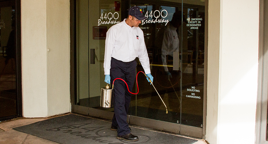 Pest professional treating hot spots