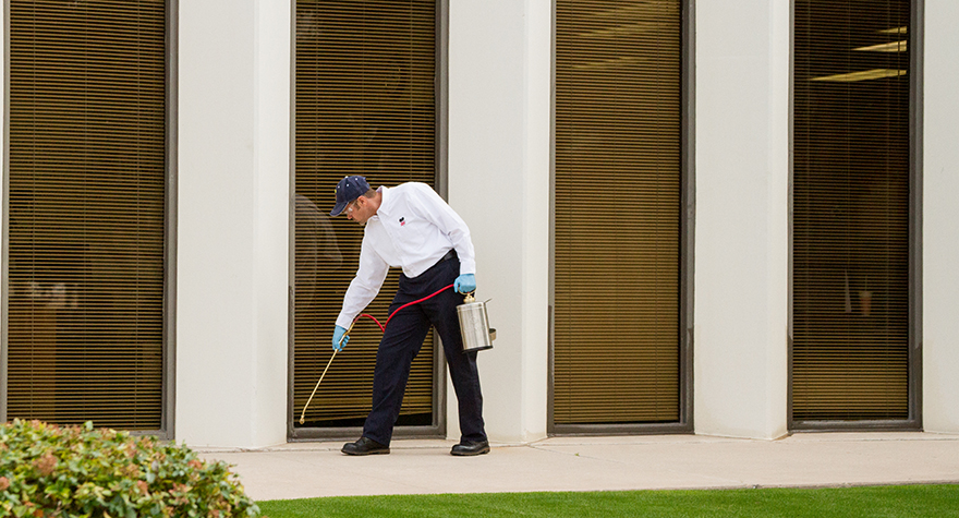 Pest professional applying pesticide around the perimeter of the building