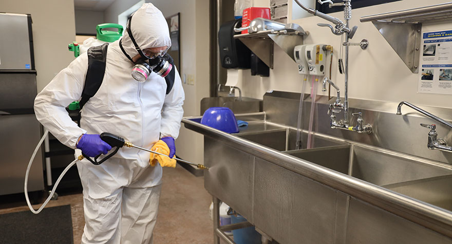 Sanitizing Industrial Sink