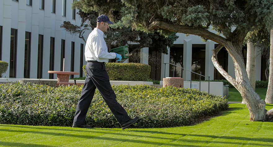 Pest professional applying granules to create an outer barrier