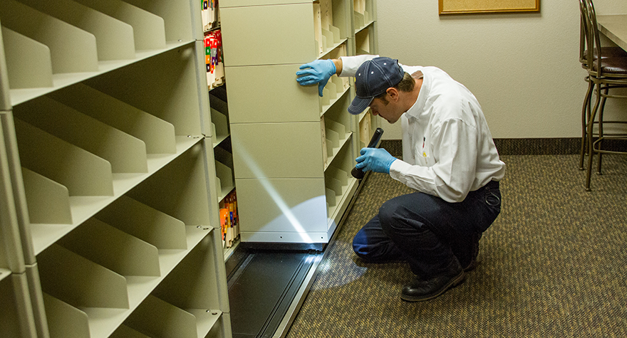 Pest professional inspecting office