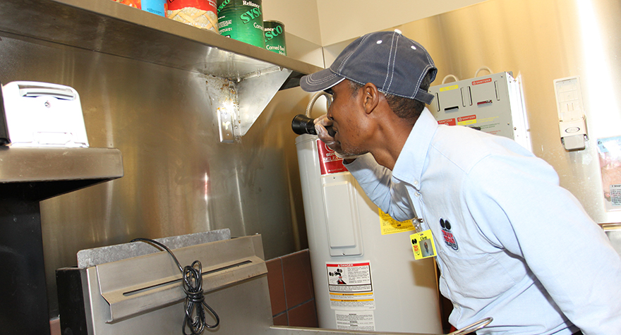 Inspecting kitchen