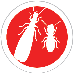 Termite Service Technician
