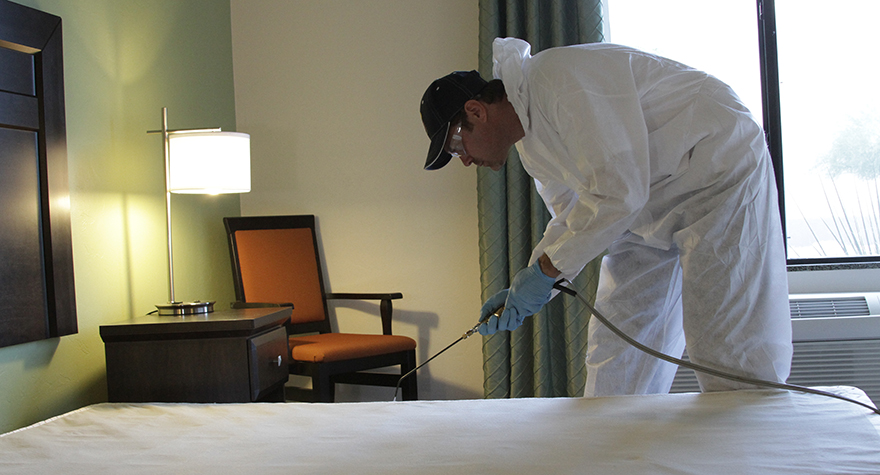 Pest professional applying pesticide