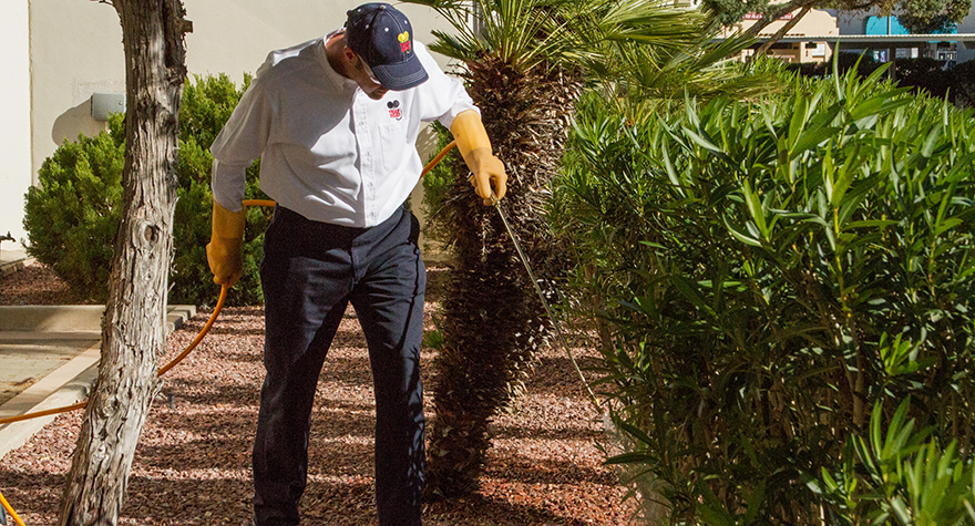 Pest professional applying pesticide near bushes